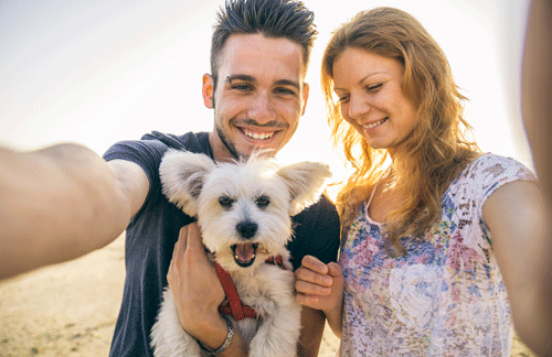 5 ways dogs help to improve relationships