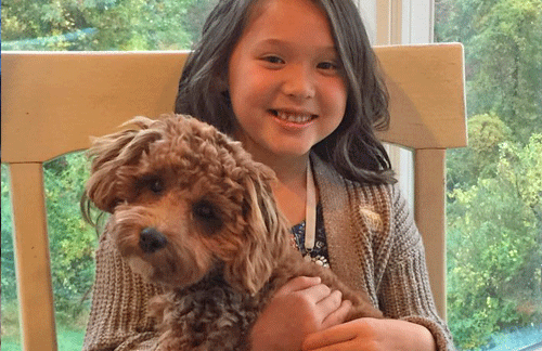 Great dog breeds for kids