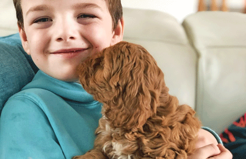 New Puppy adjusting to the new home